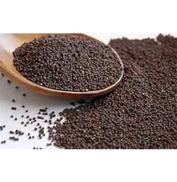 Fresh Black Mustard Seeds